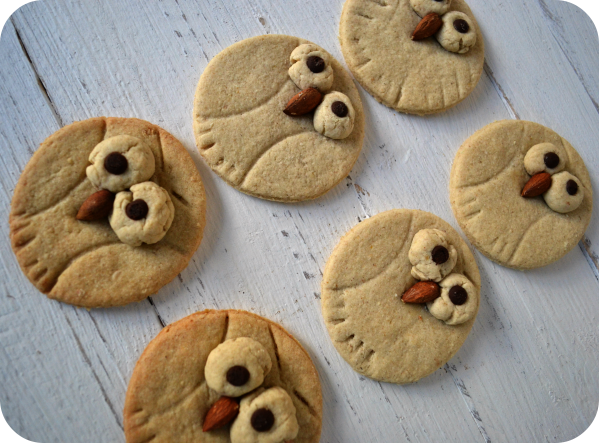 owl cookies1